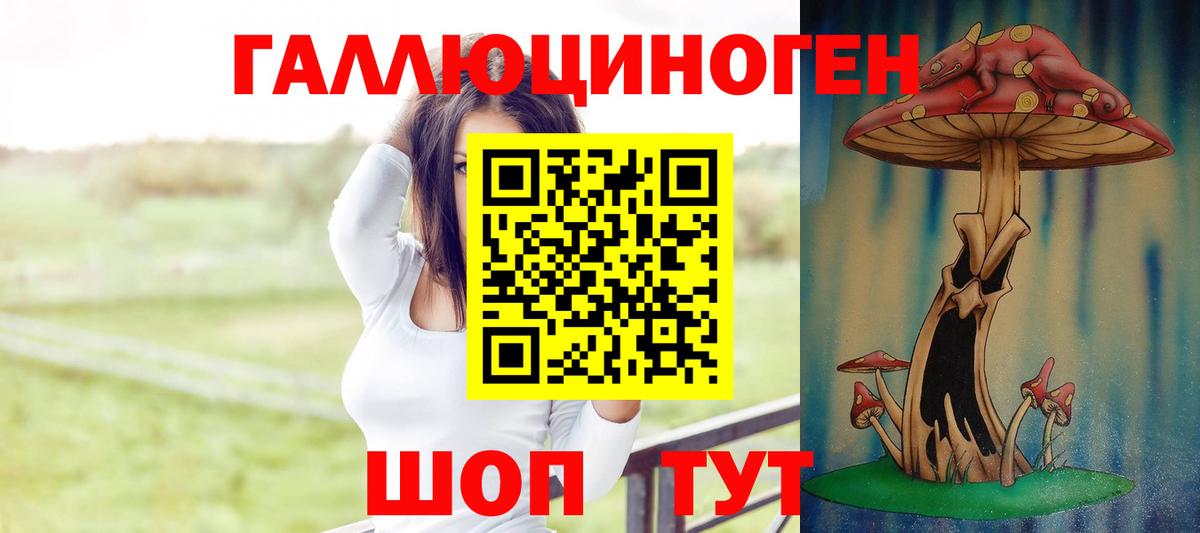 Галлюциногенные грибы GOLDEN TEACHER  Псилоцибиновые грибы Magic Shrooms  Тверь  Вход с VPN 
