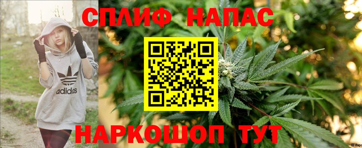 Канабис план  Марихуана SATIVA & INDICA  Конопля план  Тверь  Вход с VPN  Каннабис Amnesia 