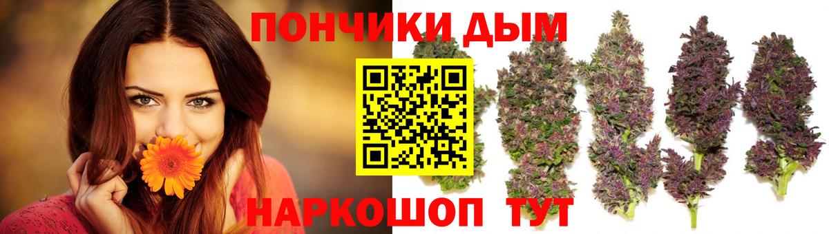 Канабис ГИДРОПОН Тверь